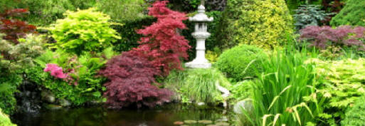 Well planted pond area